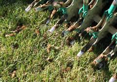 lawn-aeration-carmel