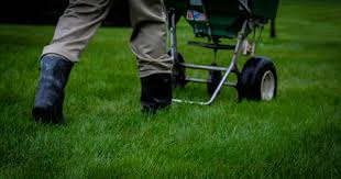lawn-fertilization-carmel