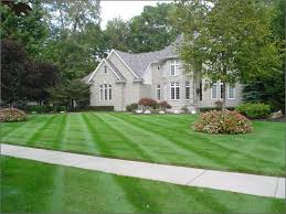 lawn-mowing-service