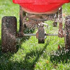 lawn-overseed-fishers