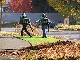 leaf-removal-indianapolis