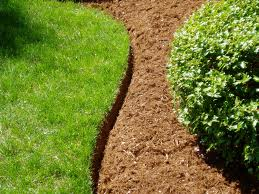 mulch-bed-edging